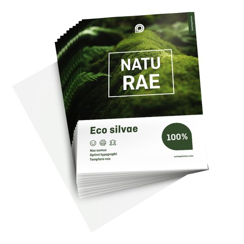 Flyers écologiques & naturels, A6, impression recto seul 2